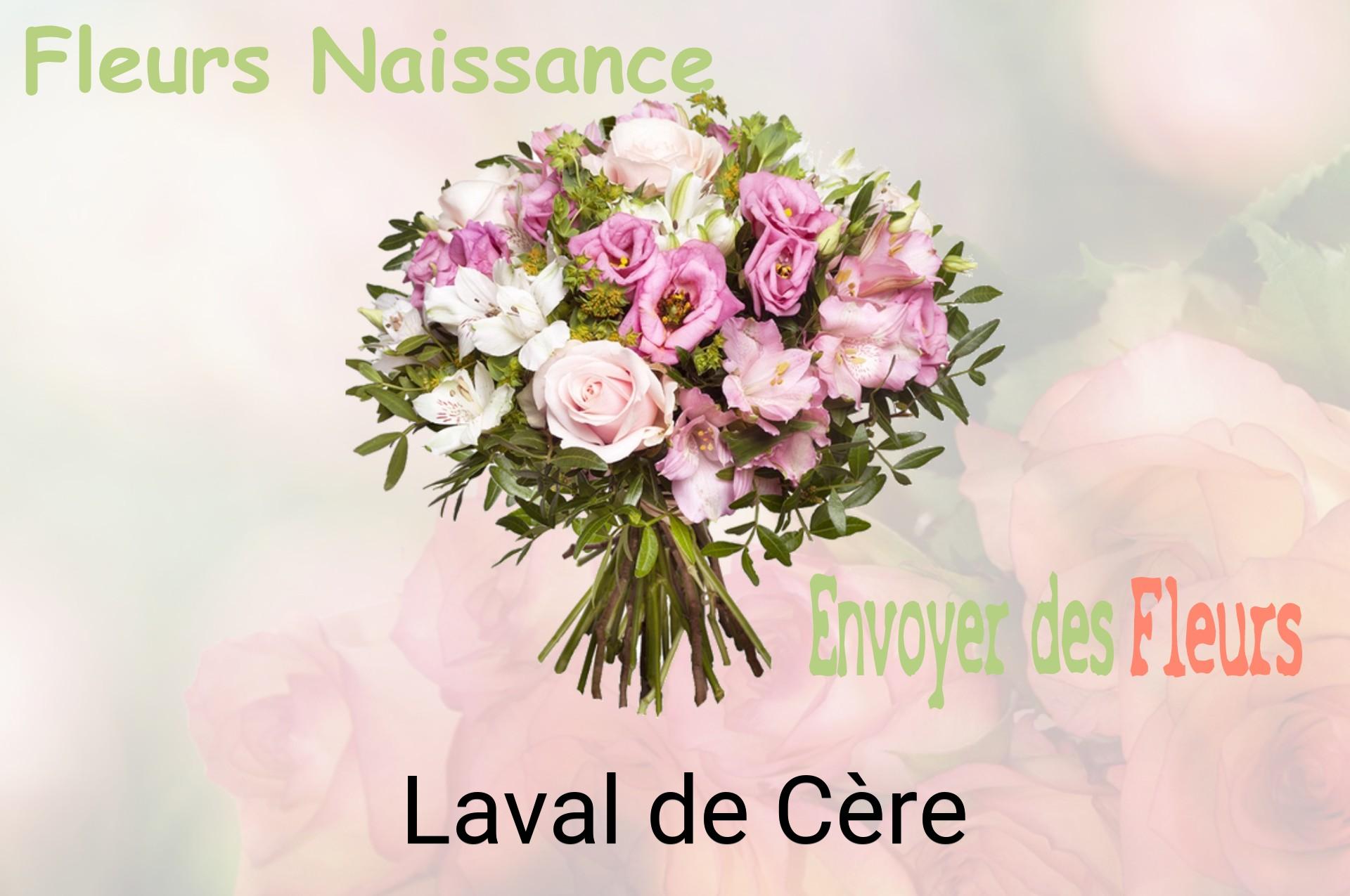 Bouquet de fleurs de naissance livré à Laval-de-Cère